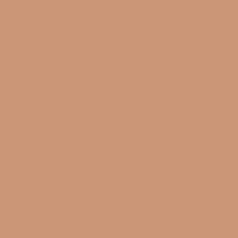 Dior Forever Natural Bronze-Bronceador en polvo (Color 04 Tan Bronze)